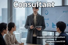 consultant