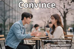 convince