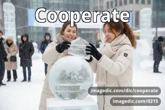 cooperate