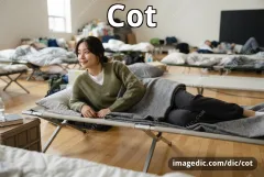 cot
