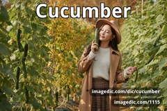 cucumber