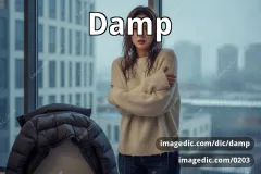 damp