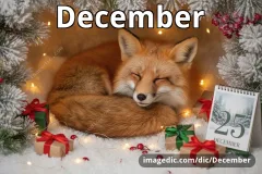 December
