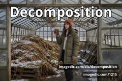 decomposition