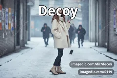 decoy