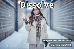 dissolve