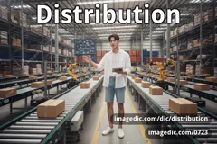 distribution