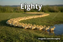 eighty