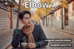 elbow