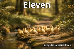 eleven