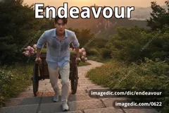 endeavour
