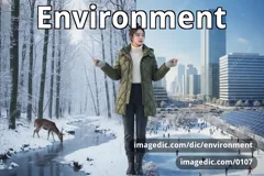environment