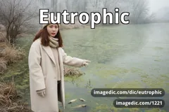 eutrophic