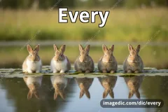 every