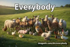 everybody