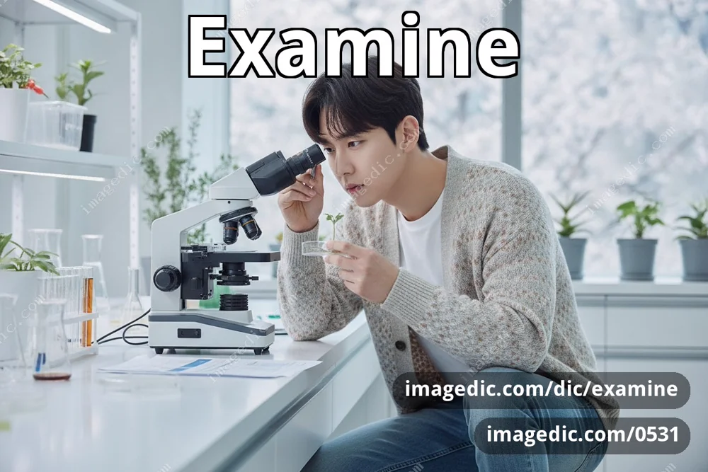 examine