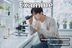 examine