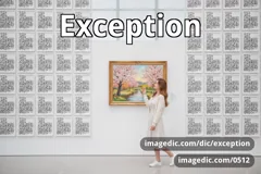exception