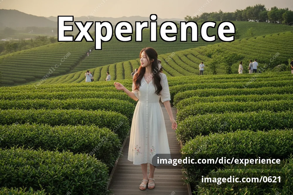 experience