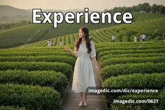 experience