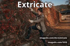 extricate