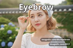 eyebrow