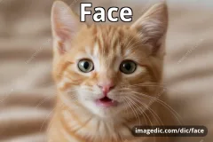 face