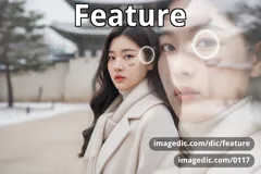 feature