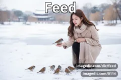 feed
