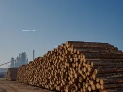 feedstock