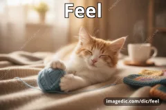 feel
