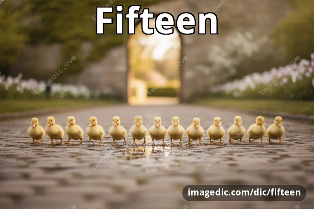 fifteen