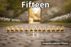 fifteen