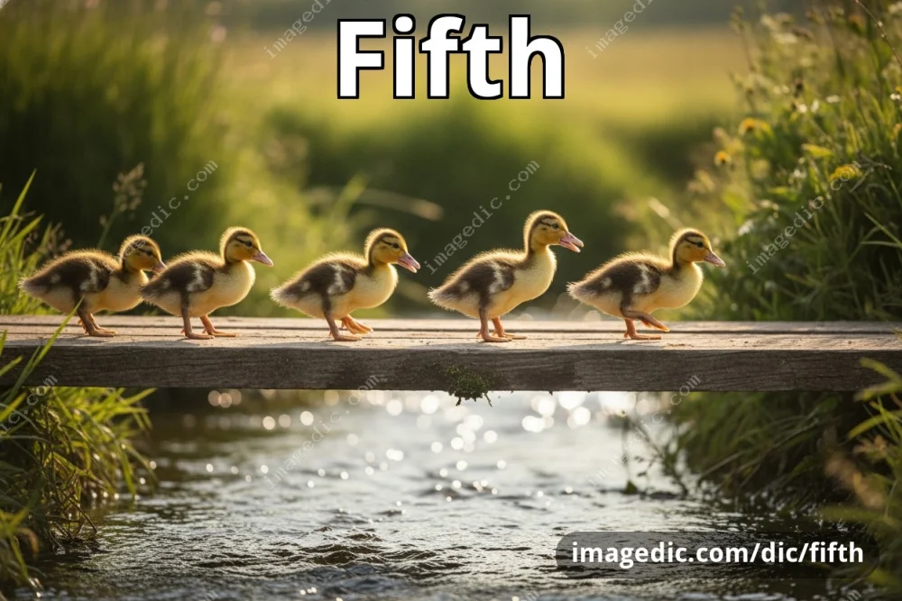 fifth