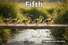 fifth