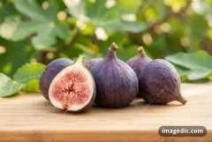 fig