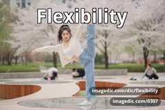 flexibility