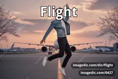 flight