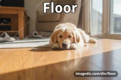 floor