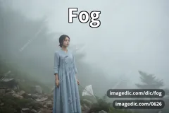 fog