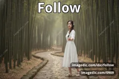 follow