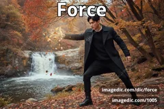 force