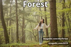 forest