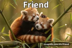 friend