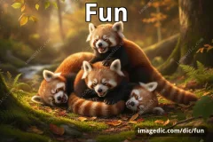 fun