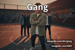 gang