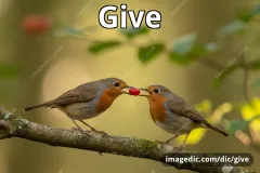 give
