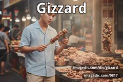 gizzard