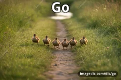 go