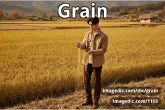 grain